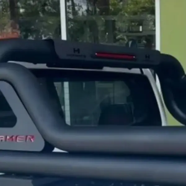 Toyota Hilux Stellar Furry Design Roll Bar
